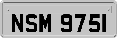 NSM9751