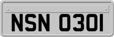 NSN0301