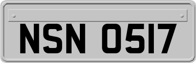 NSN0517