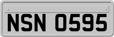 NSN0595