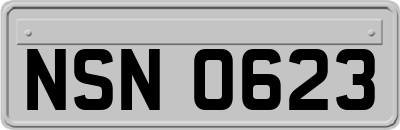 NSN0623