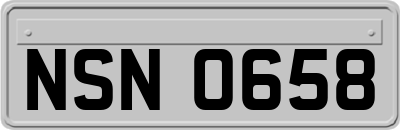NSN0658