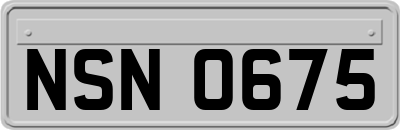 NSN0675