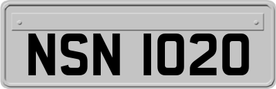 NSN1020