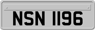 NSN1196