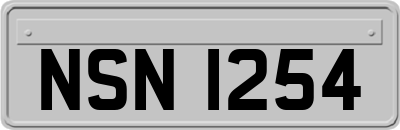 NSN1254