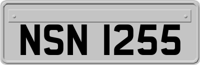 NSN1255