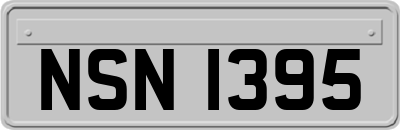 NSN1395