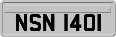 NSN1401