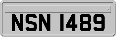 NSN1489