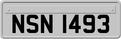 NSN1493