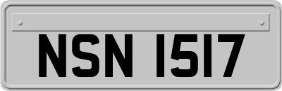 NSN1517
