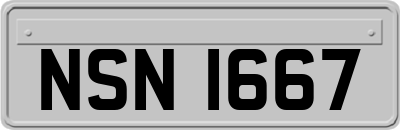 NSN1667