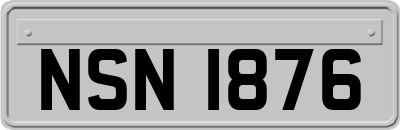 NSN1876