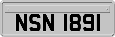 NSN1891