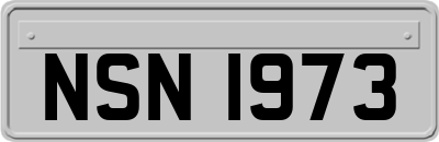NSN1973
