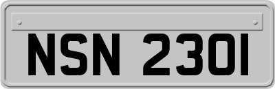 NSN2301