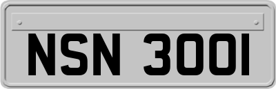 NSN3001