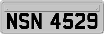NSN4529