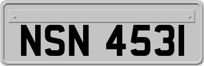 NSN4531