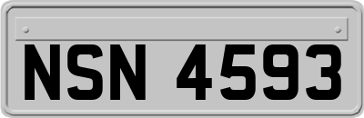 NSN4593