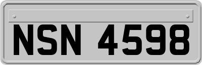 NSN4598
