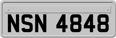 NSN4848