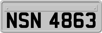 NSN4863