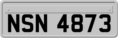 NSN4873