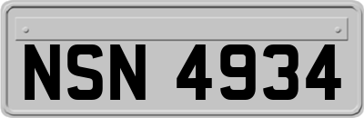 NSN4934