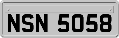 NSN5058