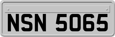 NSN5065