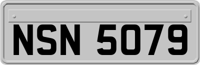 NSN5079