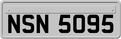 NSN5095