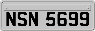 NSN5699