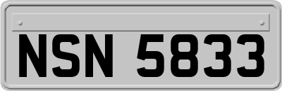 NSN5833