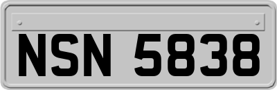 NSN5838