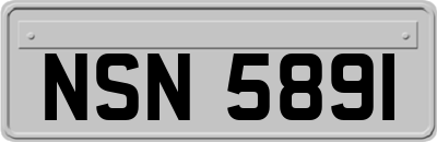 NSN5891
