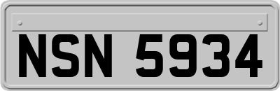 NSN5934