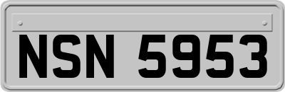 NSN5953