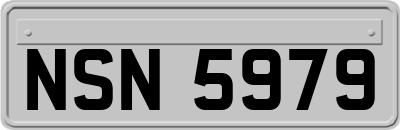 NSN5979