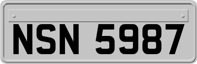 NSN5987