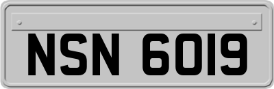 NSN6019