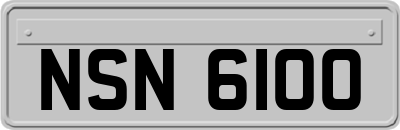 NSN6100