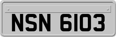 NSN6103