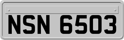 NSN6503