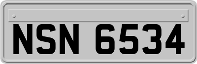 NSN6534
