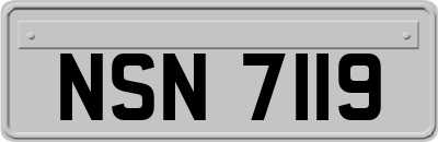 NSN7119