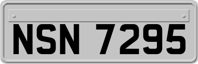 NSN7295