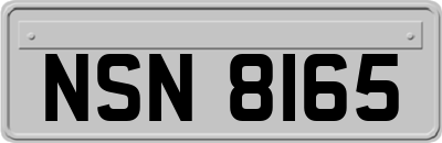 NSN8165